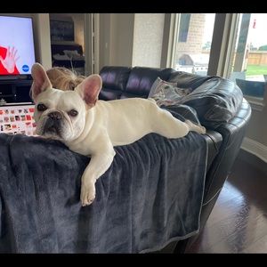 Meet your Posher, Gayle